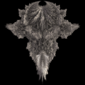 Thumbnail for version as of 04:48, 3 March 2014